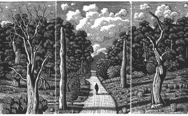 The Society Of Wood Engravers: 88th Annual Exhibition