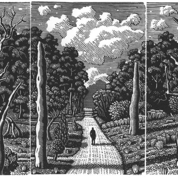 The Society Of Wood Engravers: 88th Annual Exhibition
