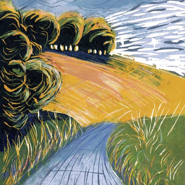 Oxford Printmakers Co-operative: The Printmaker’s Eye