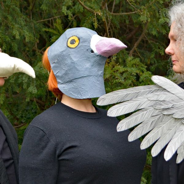 Annie Rapstoff, Monika Tobel & Cally Trench: In The Likeness of Birds
