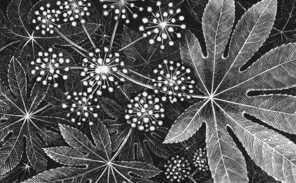 The Society Of Wood Engravers: 85th Annual Exhibition
