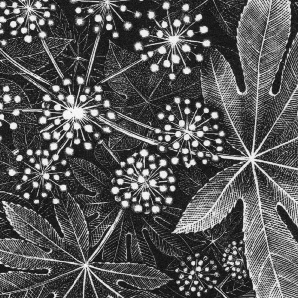 The Society Of Wood Engravers: 85th Annual Exhibition