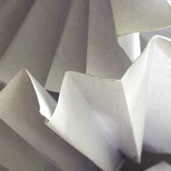 St Edward’s School: Emergence