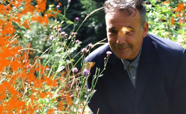 Rob Newman: Where the Wild Things Were