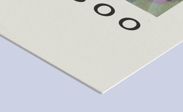 St Edward’s School Art Teachers: Circa 500