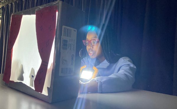 YouthLab: Shadow Puppet Theatre (ages 8-11)
